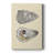 Bivalve Shells IV -Gallery Wrapped Cavas