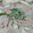 Machine Washable Indoor/Outdoor Chantille ACN2340 Floral Rug-483568075