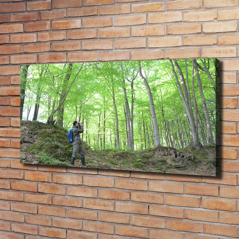 Ornithologist In The Forest - Wrapped Canvas Print