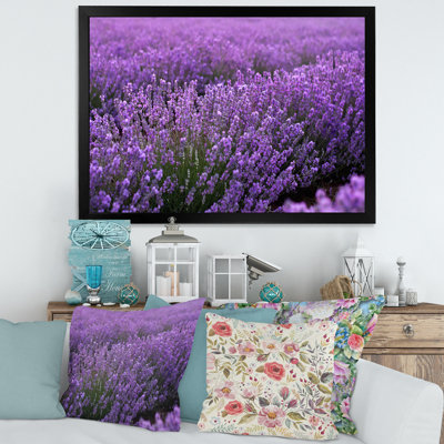 Blooming Purple Lavender Field - reproduction de cadre photo sur toile
