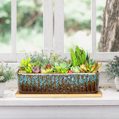 Pots à plantes succulentes, jardinières rectangulaires de 30 cm de long avec soucoupe, grands pots en céramique pour cactus d'intérieur, jardinières peu profondes pour bonsaï, décor de jardin.