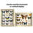 Delcastillo Shadow Box Frame 1.5 Inches Deep Box Frame for Objects & Pictures-247212075-245064308