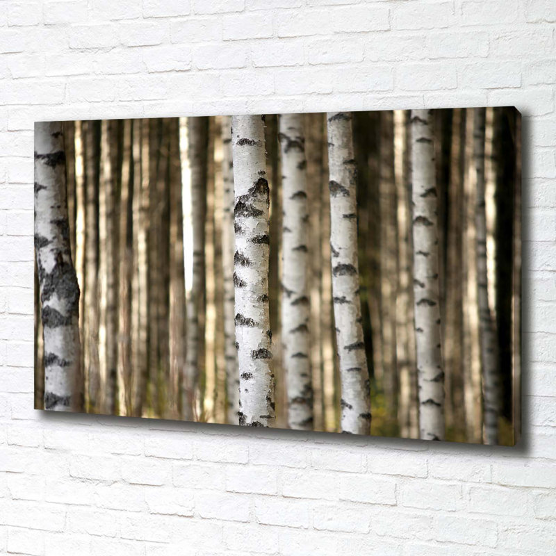 Birches - Wrapped Canvas Print