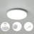 Winterview Flush Mount