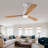 Hot Sales Modern Ceiling Fan With 3 Color Dimmable 3 Solide Wood Blades Remote Control Reversible Dc Motor With Led Light-104199738-104199878-104199875