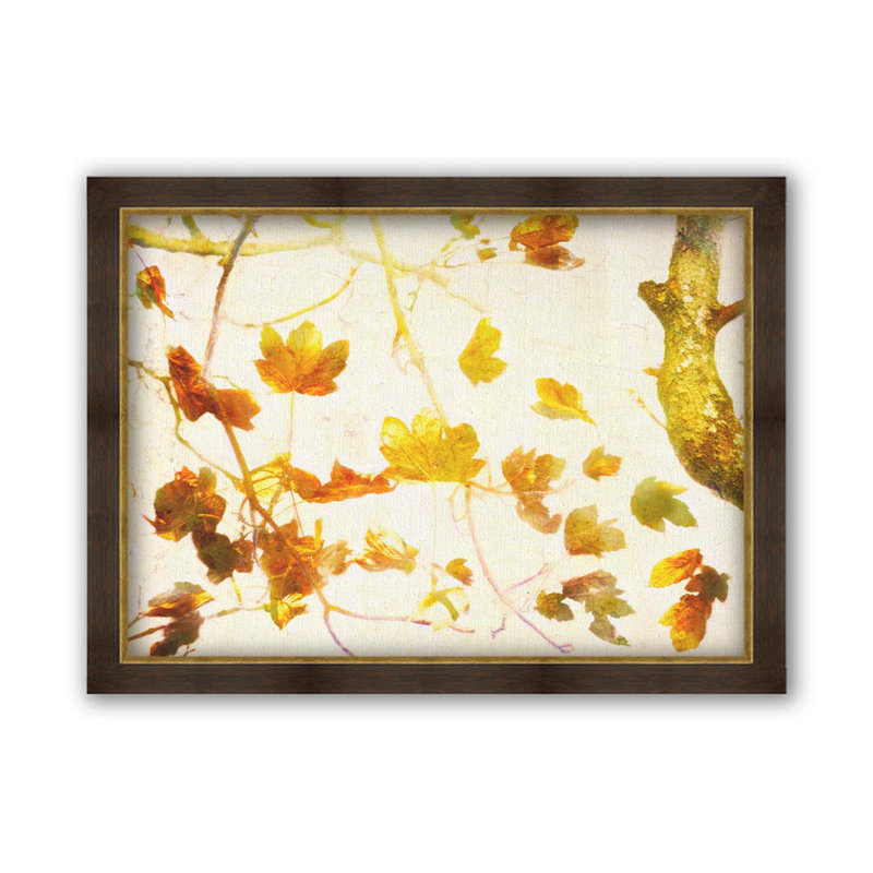 Automne doré par Hal Halli. Impression sur papier - Montée et encadrée, H 34 po x l 44 po