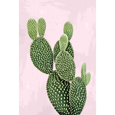 " Cactus On Pink V " Painting Print