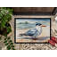 Paillasson Tern-1932467379