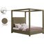 Lit Donnelly-94398537-94398538