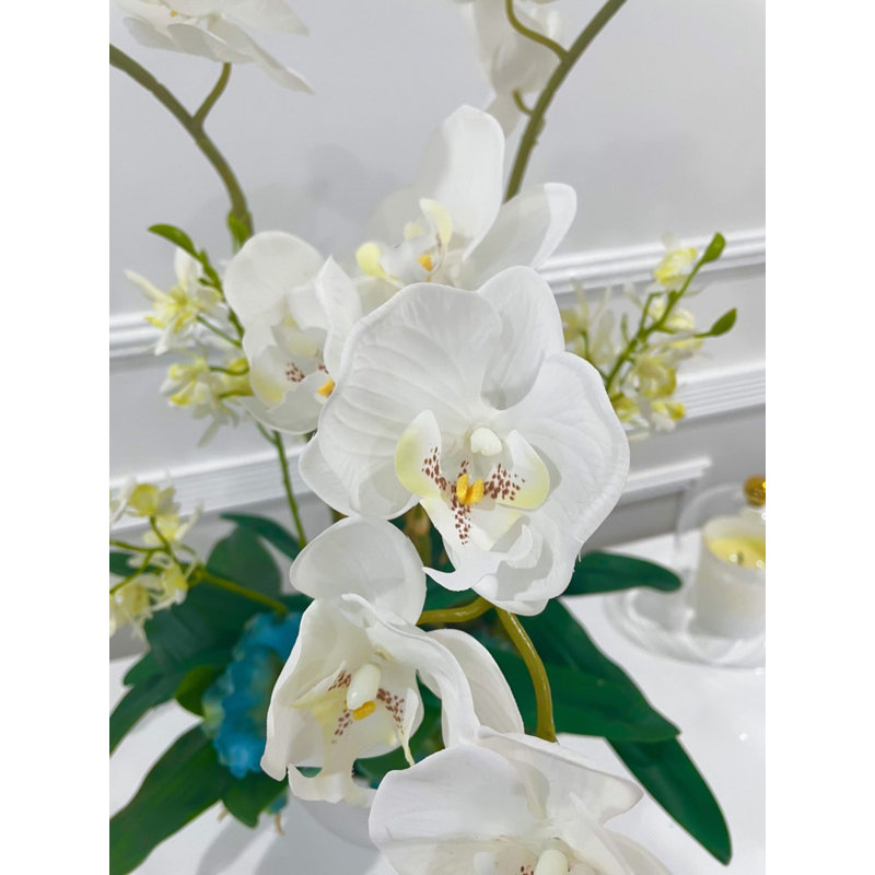 Malden Orchid Faux Floral in Vase