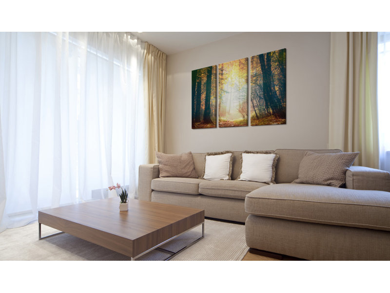 3 Piece No Frame Print on Canvas, 80cm H x 120cm W