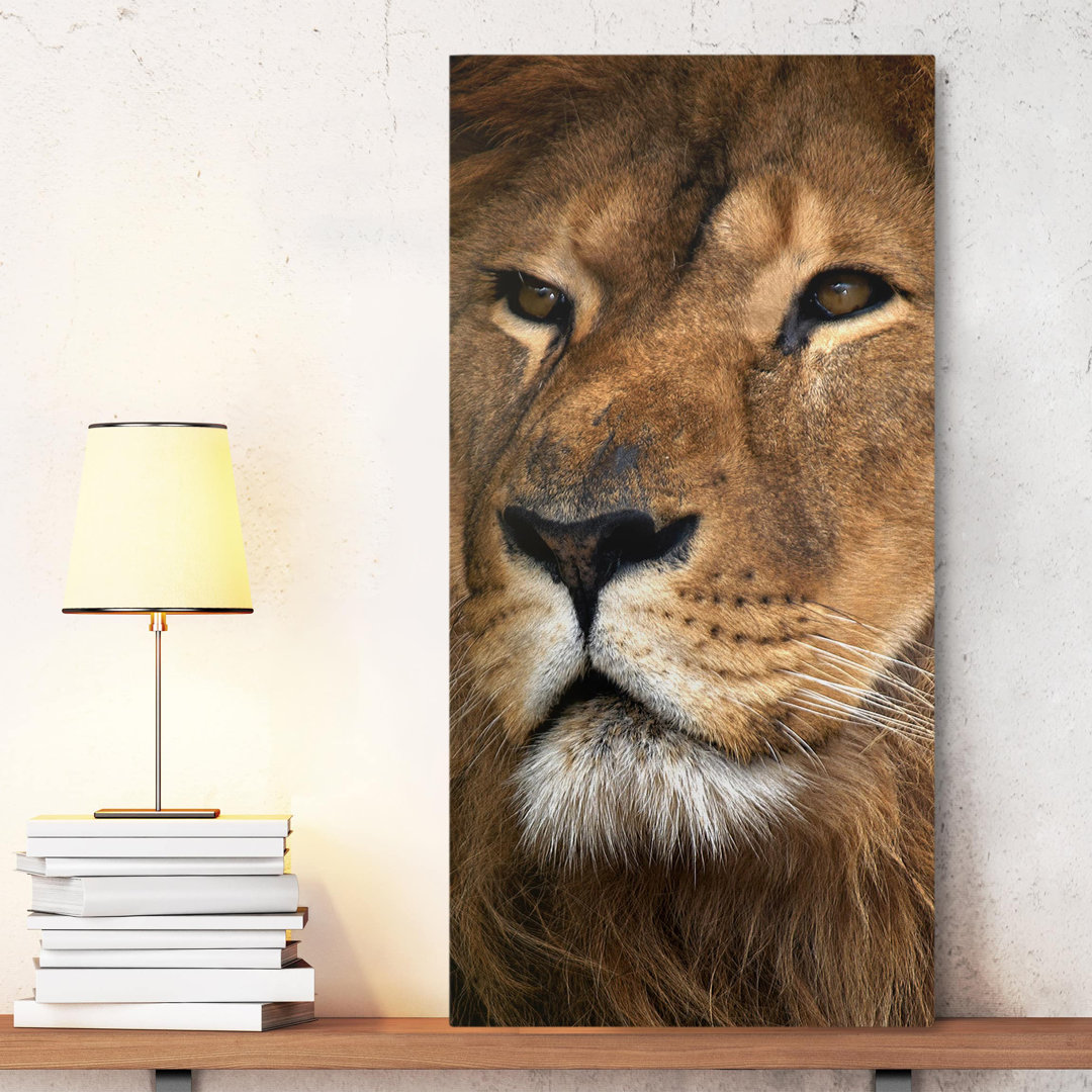 Leinwandbild Lion Portrait