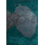 Rapture Abstract Area Rug-1073654604