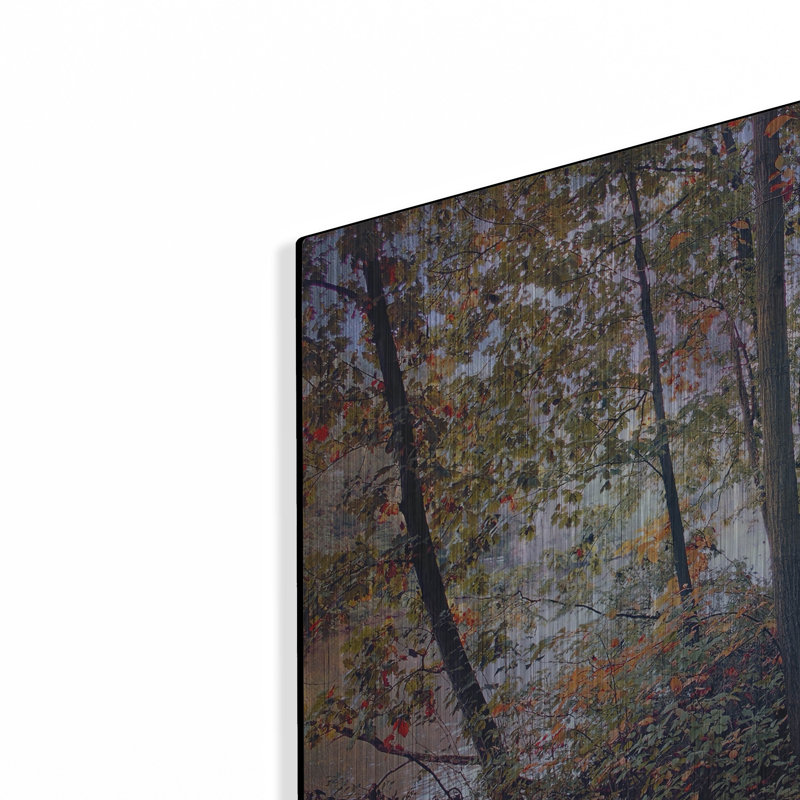 «Season Of Colours» par John Rivera, H 12 po x l 16 po