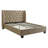 Upholstered Panel Bed-106242498