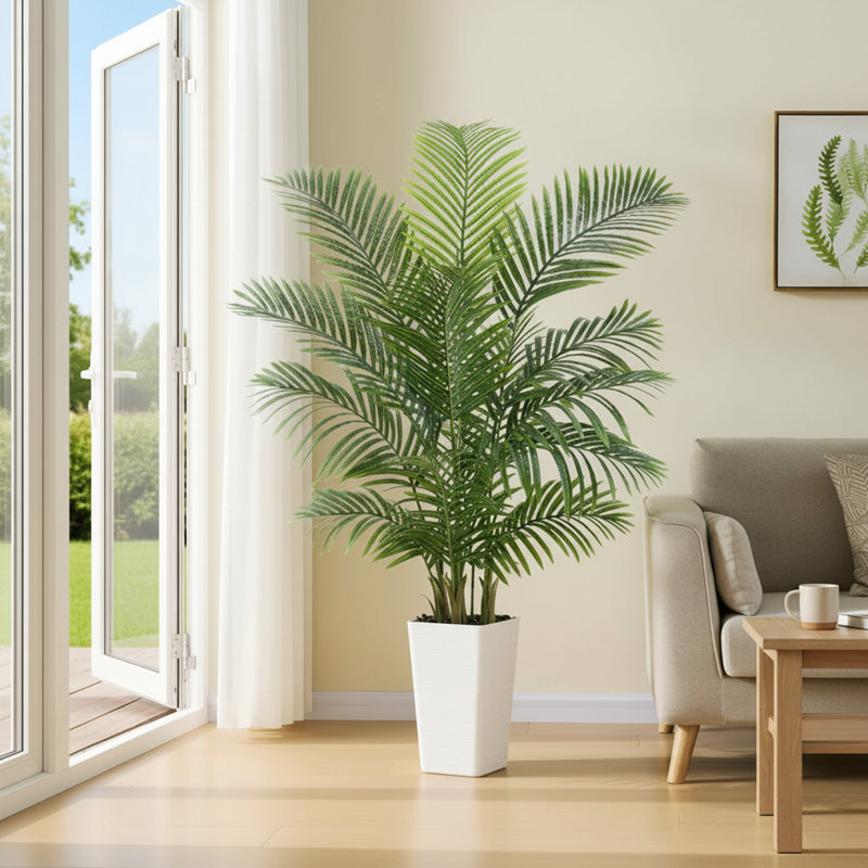 150cm Plant