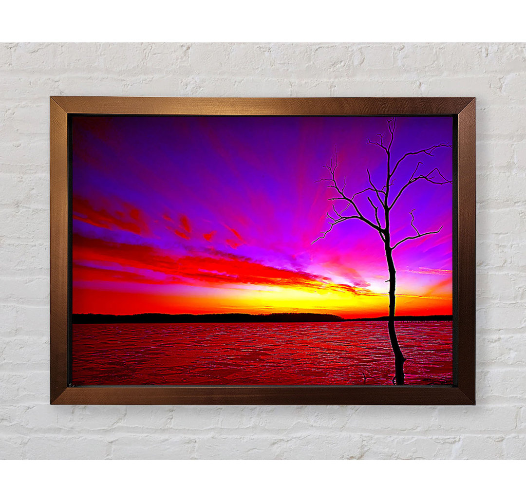 Sunset Tree Rainbow Skies Gerahmter Druck Wandkunst