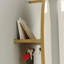 Armoire à chaussures murale avec miroir