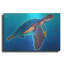«Sea Turtle - Rainbow» par Dawg Painter