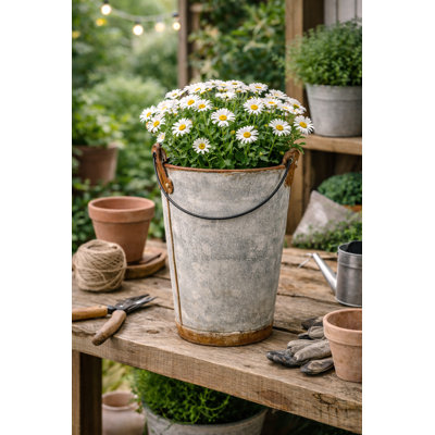  Pot à fleurs étroit 7 po