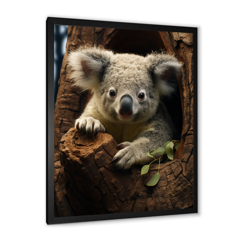 " Grey Koala Portrait II ", Black Single Picture Frameed Canvas, 20" H x 12" W x 1" D