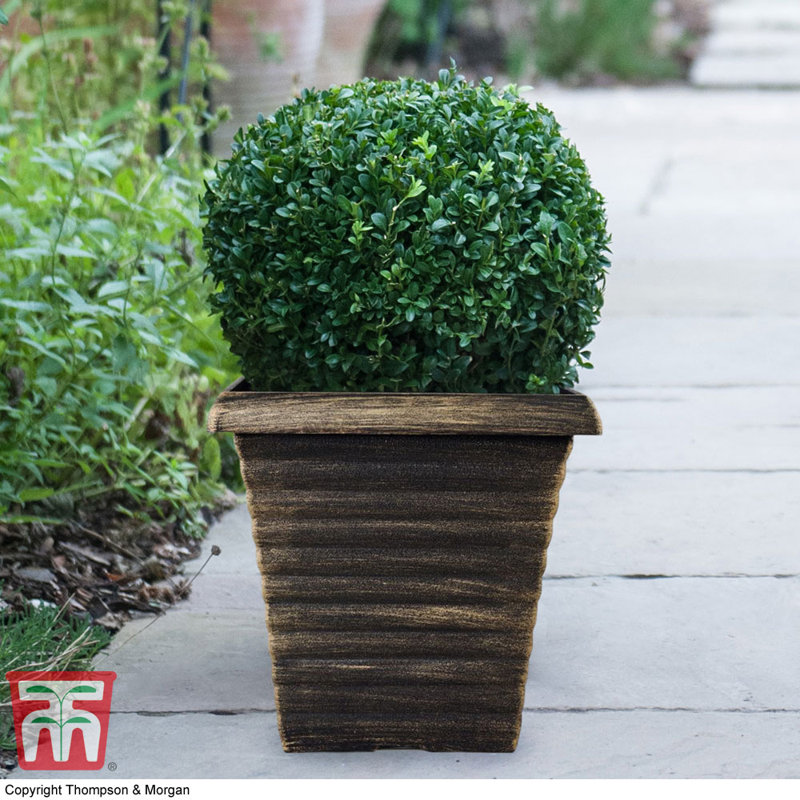 Nuralya Plant Pot (x2), 1, Bronze