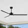 Chaffins Large Matte Black Indoor/Covered Outdoor Ceiling Fan with Light and Remote, 3 Aluminum Blades, 6-Speed Quiet DC Motor, LED Tri-Color Temperature, Memory Function, Timer, 6''/12'' Downrods