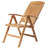 Jonael Beach Chair