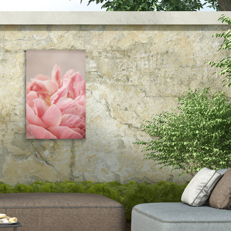 Mareike Bohmer  Peony 4 Outdoor  Canvas, H 12 po x l 19 po