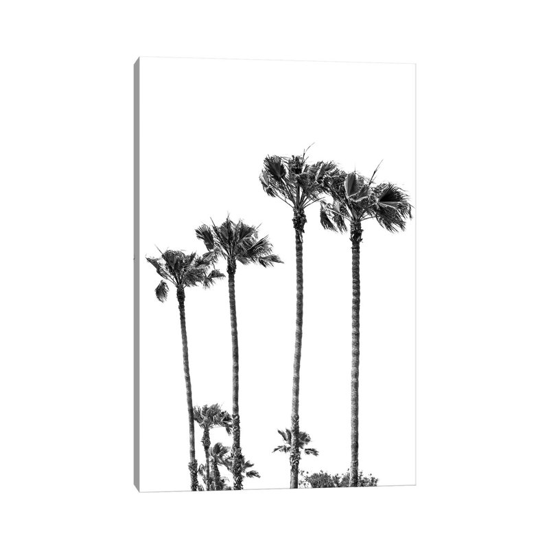 Palmiers à la plage | «Black & White» par Melanie Viola - Estampe numérique sur toile tendue avec châssis