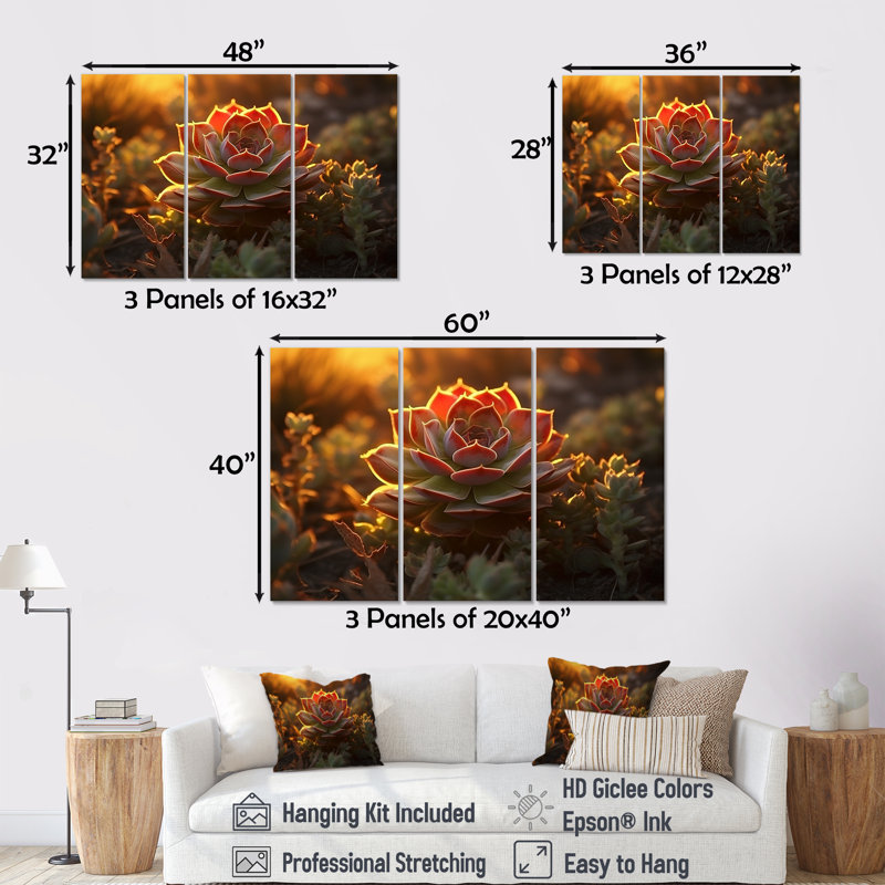 «Succulent Desert Cactus Field Burning Sunset II», ensemble d'art sur toile, Toile tendue, H 40 po x l 60 po x P 1 po
