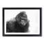 A Silverback Gorilla in Abstract - Picture Frame Graphic Art Print-55629238-55629241