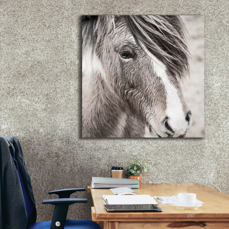  «Elska 3 Bw» par Laura Marshall, art mural sur toile, 37 po x 37 po