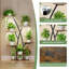 Plant Stand - Set of 8
