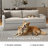 Noelle Solid Wood Upholstered Sofa With Wide Square Arms Couch Comfy Loveseat For Apartment Bedroom Living Room Office-615721384
