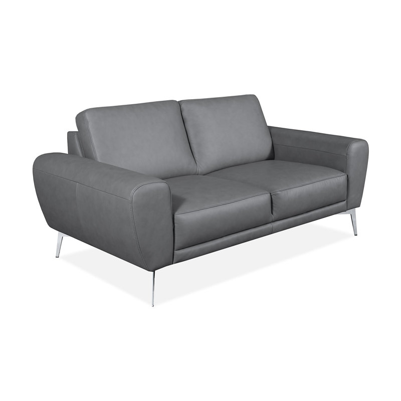 Kilmarnock Genuine Leather 2-seater Sofa, Grey