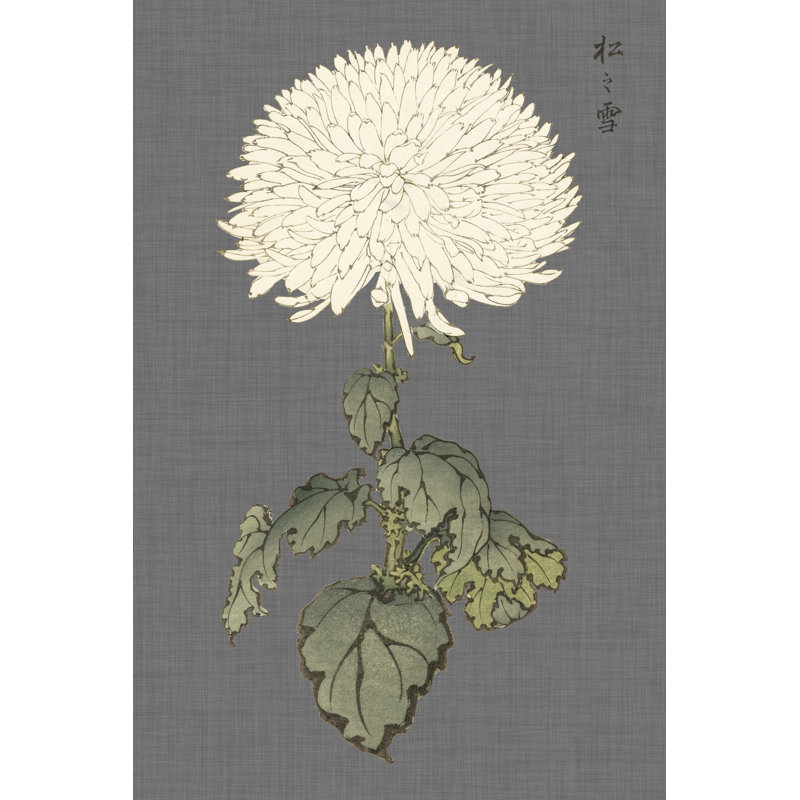 Dramatic Ivory Mums I, H 36 po x l 24 po x P 1,25 po