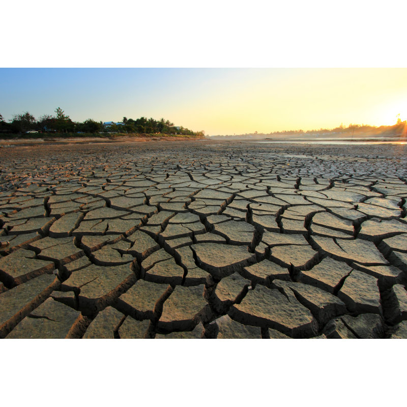 Barren by Surachet1 - Wrapped Canvas Print, 30cm H x 46cm W x 3.8cm D