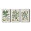 Buchoz Tropicals IV - Toile tendue avec châssis sur mesure - 3 pièces-65334459