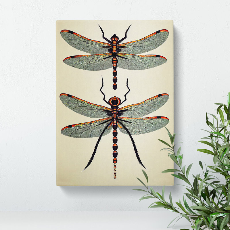 Classic Dragonflies - Print, 50cm H x 35cm W x 3cm D, Wrapped Canvas, No Matte