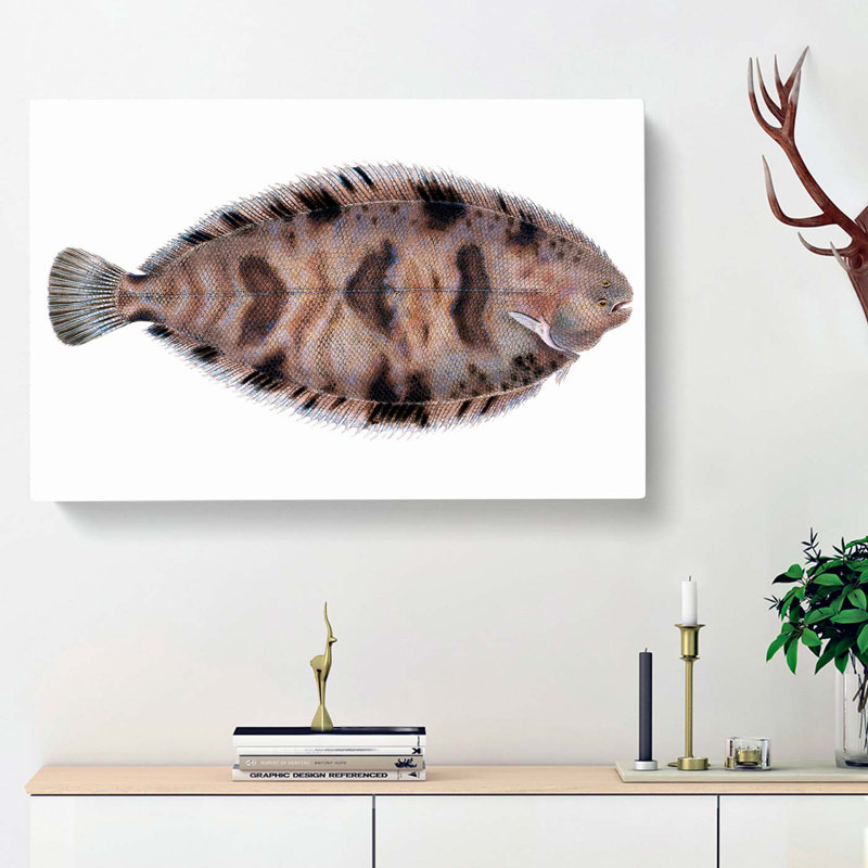 Variegated Sole Fish by Edward Donovan - Wrapped Canvas, 50cm H x 76cm W x 3cm D