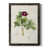 Black Framed selected