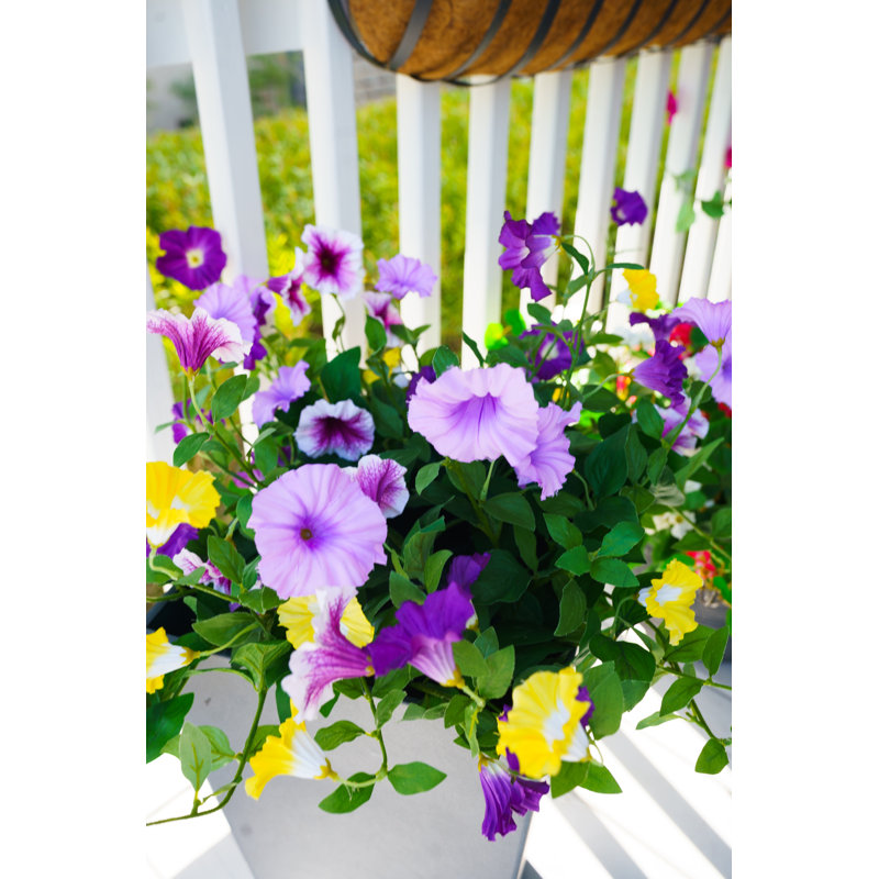 Lifelike Petunia Urn Filler - Purple and Yellow, Purple/Yellow