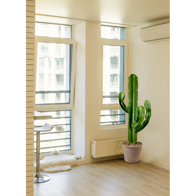 44 "plante de cactus artificielle en pot