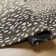 Bauwine Wool Animal Print Indoor Rug