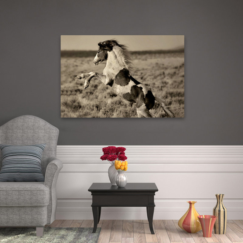 Poney sauvage peint - Photographie, chevaux, art, H 48 po x l 32 po