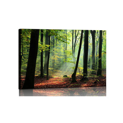 Wrapped Canvas Print