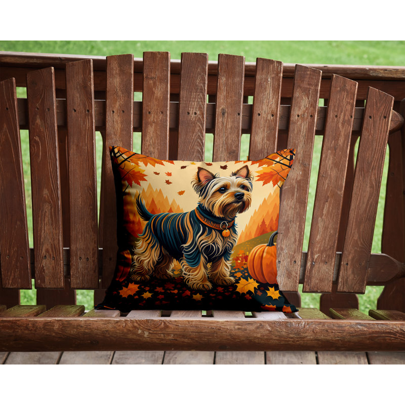 Other/No Pattern Outdoor Throw Pillow, 14" x 14"