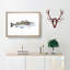 Atlantic Cod Fish by Edward Donovan - Single Picture Frame Painting-55456846-55456847