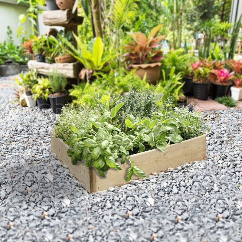 Espen Triangular Raised Bed - 90cm each side, Height 15cm